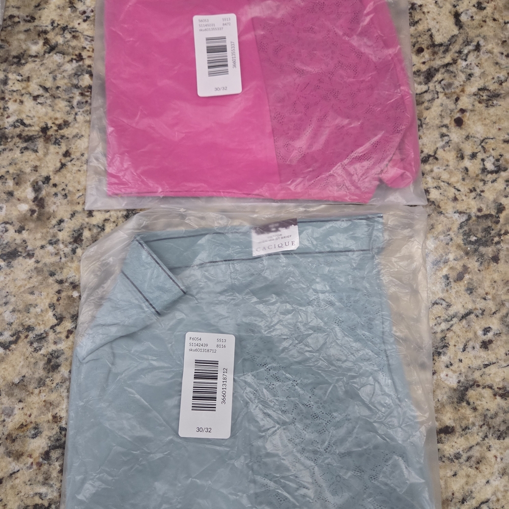 Cacique Plus Pink and Blue Panties